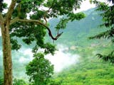 Araku Valley