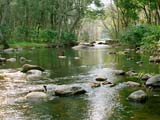 Eravikulam National Park - Munnar