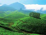 Kerala Hill Stations