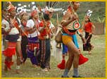 Apatani Culture