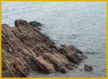 Chilka Lake